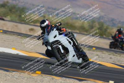 media/Nov-12-2023-SoCal Trackdays (Sun) [[5d1fba4e7d]]/Turn 14 (1035am)/